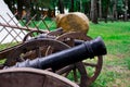 Retro weapons in the Park at ethnic festival