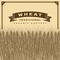 Retro wheat harvest card brown Royalty Free Stock Photo