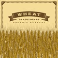 Retro wheat harvest card