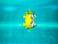Old fashioned fish toy in swimming pool
