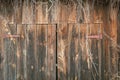 retro wooden background with rustic barnhouse doors in the trees Royalty Free Stock Photo