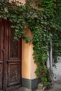 Retro wooden door outside of an old house. Plants decoration, ivy, vintage Royalty Free Stock Photo