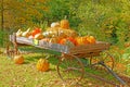 retro wooden wagon full of pumpkins and gourds used as decoration for tourism