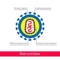 Retroviridae. Classification of viruses.