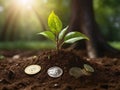 Return on investment concept and saving money Seedling on a blurred natural background Royalty Free Stock Photo