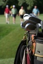 Returning Golfers and Golfbag Royalty Free Stock Photo