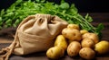 Reusable cloth bag filled with potatoes Royalty Free Stock Photo