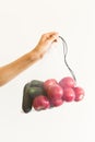 Reusable eco-friendly bag full of fresh seasonal tomatoes and cucumber Royalty Free Stock Photo