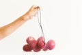 Reusable eco-friendly bag full of fresh seasonal tomatoes Royalty Free Stock Photo