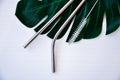 Reusable Metal Straws with Portable Case - Stainless Steel, Eco-Friendly Drinking Straw Set with Cleaning Brushes