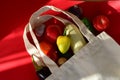 Reusable shopping textile bag full of groceries, fresh fruits and vegetables purchased from the store on red background Royalty Free Stock Photo