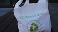 Reuseable plastic bag for groceries. Royalty Free Stock Photo