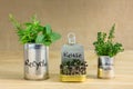 Tin cans containing herbs and growing salad greens with Recycle, Reuse, Reduce waste text