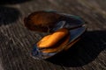 Revealed large orange mussel ha wooden background