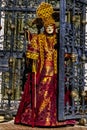 Reveler wearing costume at the Venice Carnival Royalty Free Stock Photo