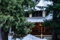 REVELSTOKE, CANADA - MARCH 14, 2021: log house under snow between trees at night time