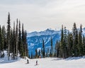 REVELSTOKE, CANADA - MARCH 17, 2021: People skiing in mountain forest scenic landscape dressed in winter sport jackets