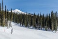 REVELSTOKE, CANADA - MARCH 17, 2021: ski resort trail covered in snow and tall green trees mountain in background