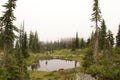 Revelstoke Pond