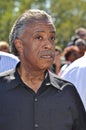 Reverend Al Sharpton Royalty Free Stock Photo