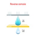 Reverse osmosis. two drops of water and membrane