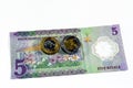 Reverse side of the new polymer 5 SAR five Saudi Arabia riyals cash money banknote bill series 1441 AH features a field of flowers
