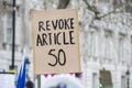 Revoke article 50 Anti-Brexit banner at a march in London