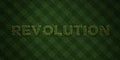 REVOLUTION - fresh Grass letters with flowers and dandelions - 3D rendered royalty free stock image