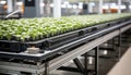 Revolutionizing agriculture automated harvest assembly with robotic machines on modern farms