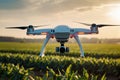Revolutionizing Agriculture: Drone Technology Captures Stunning Farm Scenery. Royalty Free Stock Photo