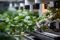 Revolutionizing agriculture robotic machines automate harvest assembly on modern farms