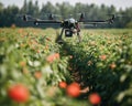 Revolutionizing agriculture The role of edge computing Royalty Free Stock Photo