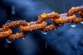 Revolutionizing industries the potential of blockchain for secure transactions and data management