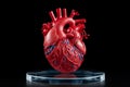 Revolutionizing Medicine: Studio Shot of 3D Printed Human Heart Medical Concept, Generative AI