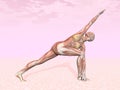 Revolved side angle yoga pose for woman Royalty Free Stock Photo