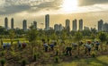 Rewilding efforts in the city involve planting trees and creating a green urban park by volunteers