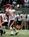 Rex Grossman, Chicago Bears Royalty Free Stock Photo