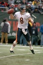 Rex Grossman QB of the Chicago Bears Royalty Free Stock Photo