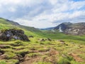 Reykjadalur valley with hot springs river, lush green grass meadow, rocks and hills with geothermal steam. South Iceland near