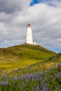 Reykjanes lighthouse, Iceland Royalty Free Stock Photo