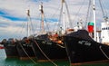 Reykjavik, Iceland - 28. July 2008 - Many icelandic whaling ships of Hvalur fleet in city harbour