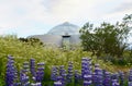 Reykjavik, Iceland - June 21, 2019 - The view of Perlan, the famous planetarium and exhibition center in the city Royalty Free Stock Photo