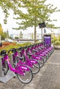 Bicycles of WOW bike-sharing system in Reykjavik, Iceland Royalty Free Stock Photo