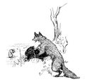 Reynard the Fox: Taunting Bruin, vintage illustration