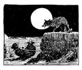 Reynard the Fox: Tricking Tibert vintage illustration