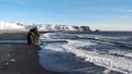 Reynisfjara Beach famous black sand beach in Iceland