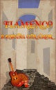 Flamenco. From Spain with love. Spanish guitar and flamenco female shoes