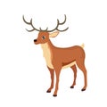 Vector design of reindeer, animal rangifer