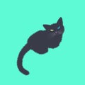 Black cat looking up illustration mint background