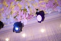 RGBW LED moving head beam and wash stage lighting in event hall decorating with flowers Royalty Free Stock Photo